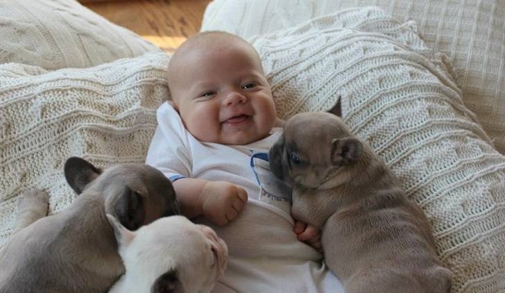 Bebês e Cachorros: ser feliz vale a pena (Veja Vídeo)