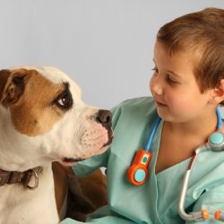 Dicas para escolher um bom veterinário