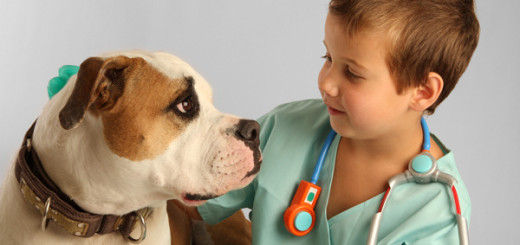 Dicas para escolher um bom veterinário