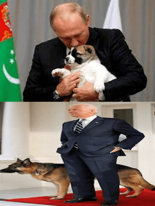 Queridinhos de Putin & Biden