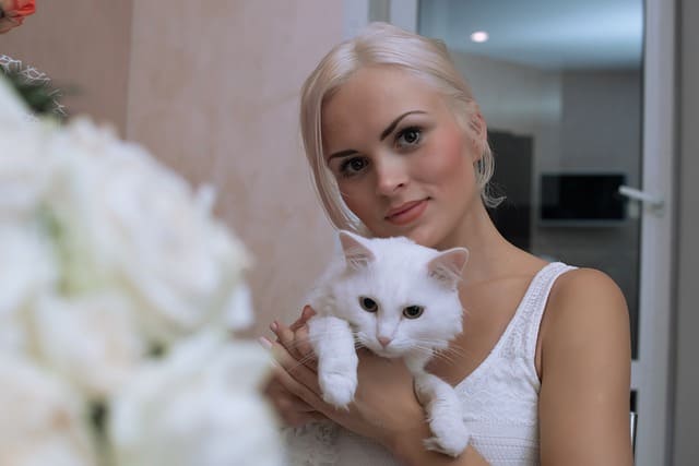 Mulher linda com uma blusa branca segurando um gato branco muito bonito.