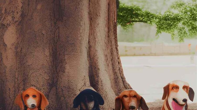 O best-seller com nome de cachorros que encantou os tutores