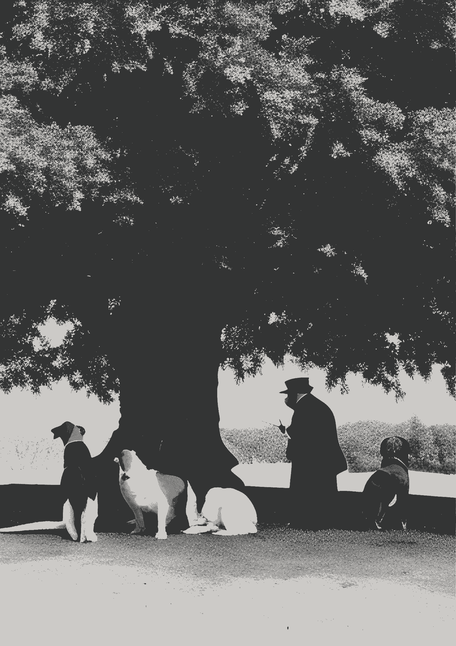 Um homem e quatro belos cães embaixo de uma árvore frondosa procurando um tesouro.